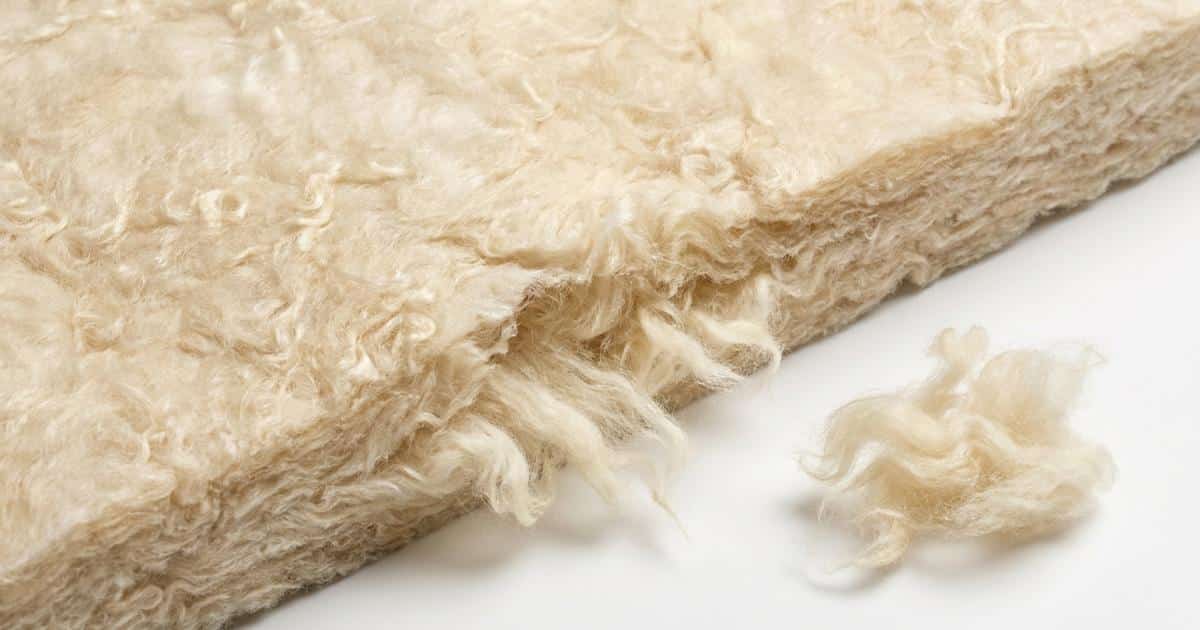 Panneau de laine de mouton isolante vu en gros plan montrant la surface crémeuse aux fibres bouclées naturelles et la tranche déchirée révélant des touffes souples et élastiques de laine brute